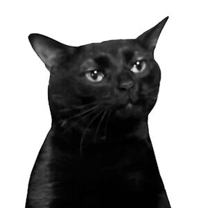 Meet your Posher, Katy